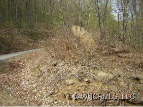 505 Slippery Rock Road Waynesville, NC 28785 - Photo 2 of 3 Gallery Image 2
