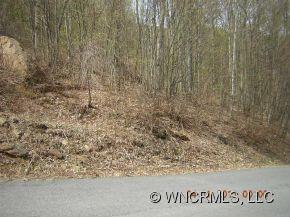 505 Slippery Rock Road Waynesville, NC 28785 - Photo 3 of 3 Gallery Image 3