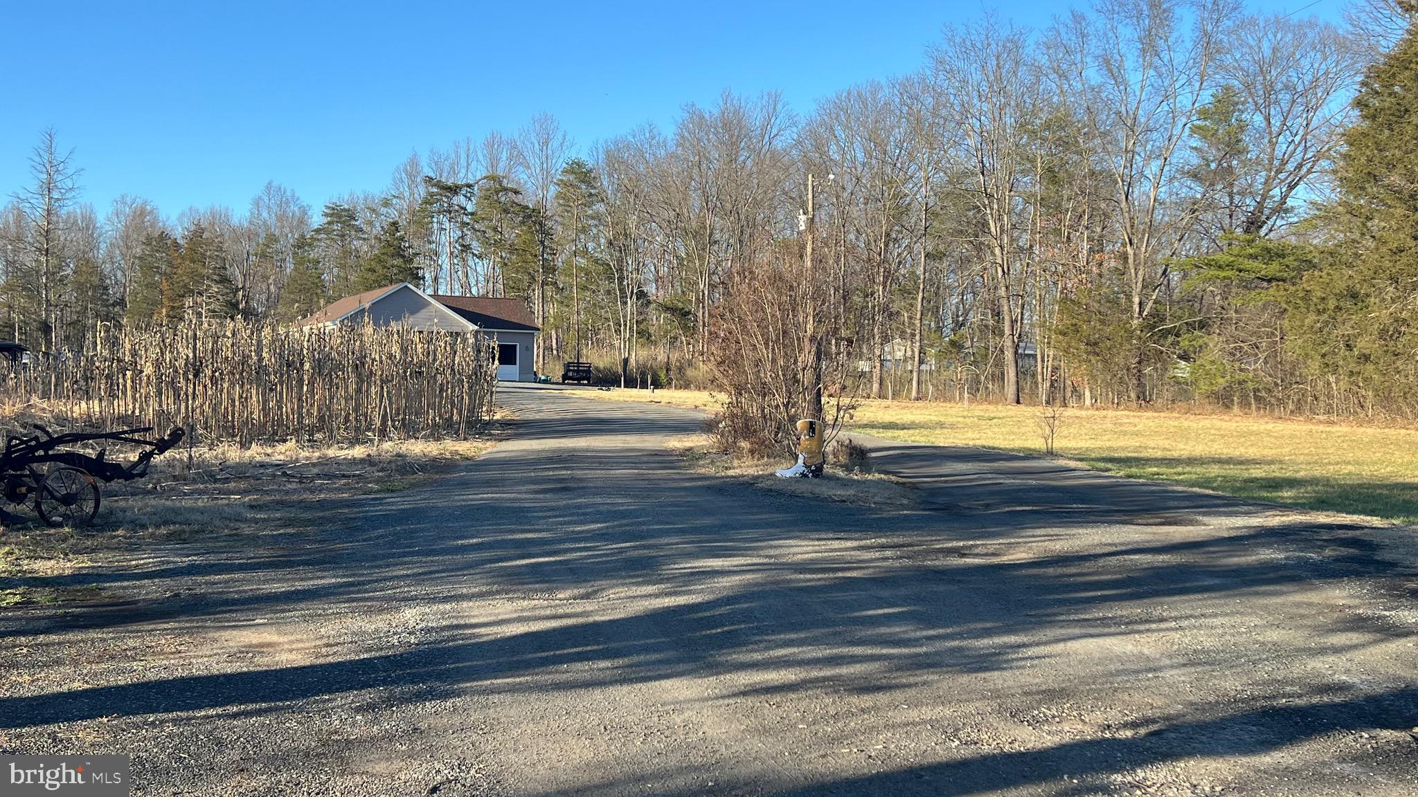 4819 Sudley Road Catharpin, VA 20143 - Photo 5 of 5 a view of a yard with large trees
