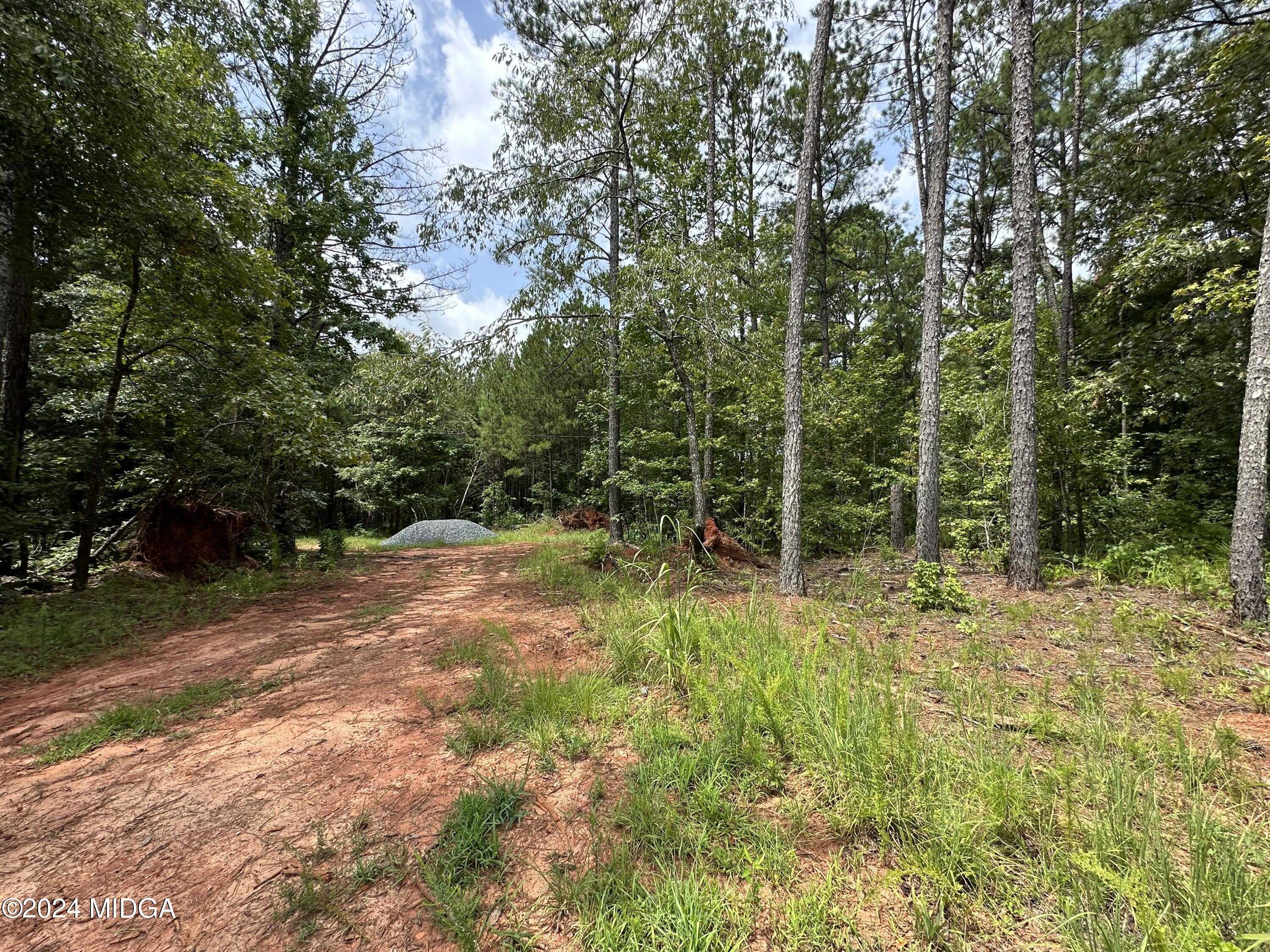 731 Cyler Road Gray, GA 31032 - Photo 5 of 22 29 acre lot in Gray