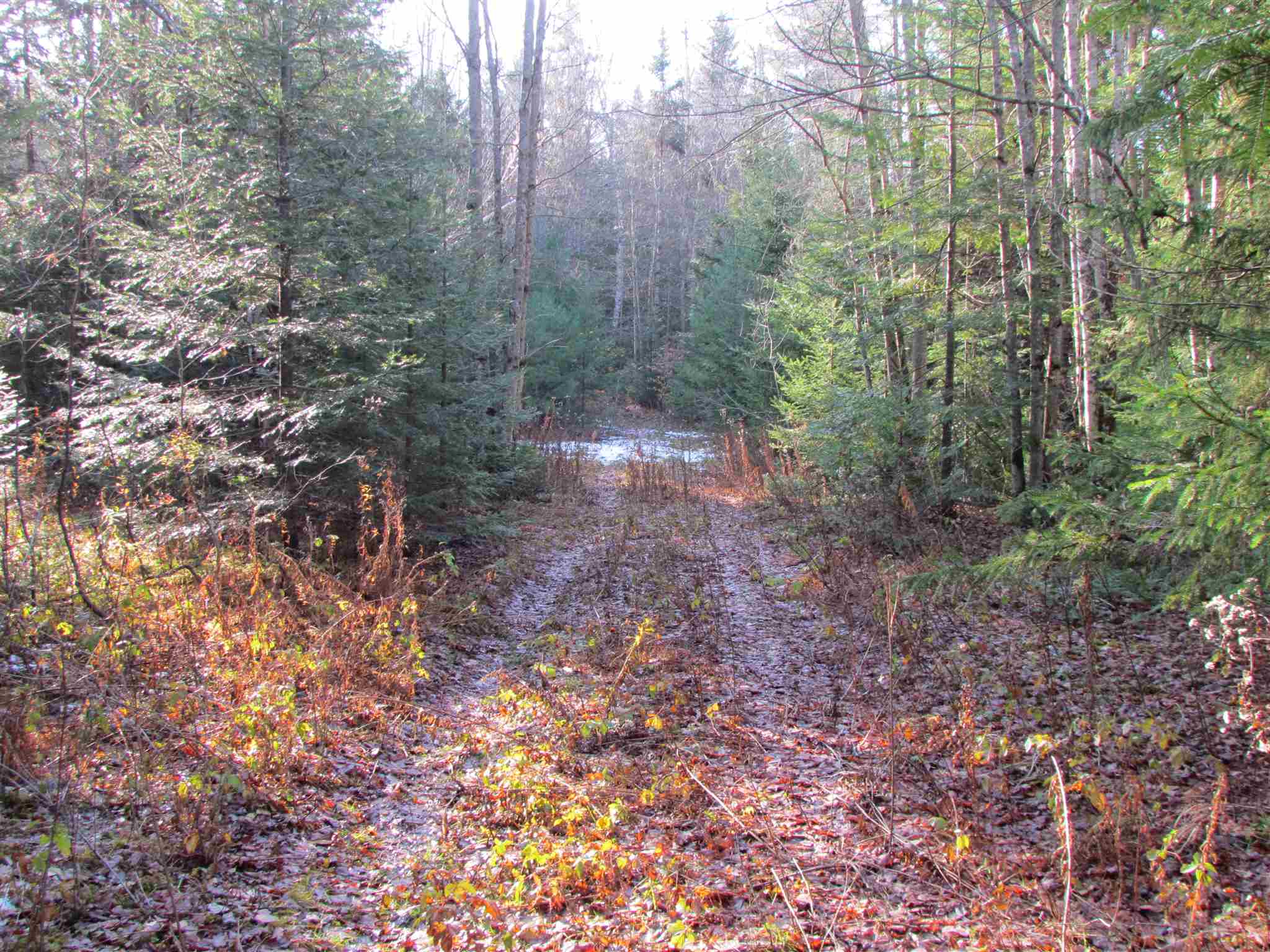 0 Moretown Mountain Road Moretown, VT 05660 - Photo 13 of 16
