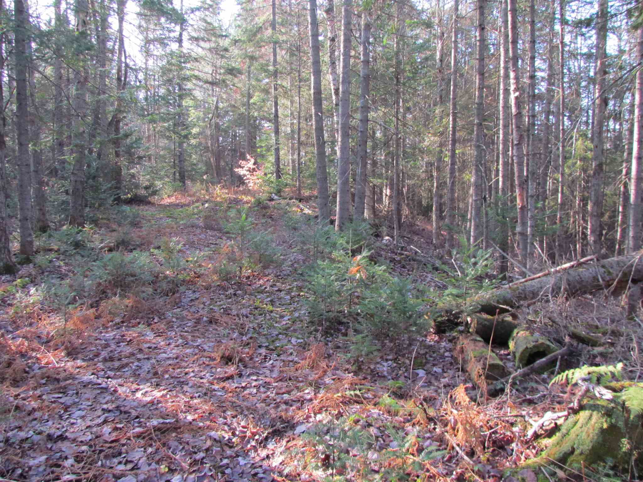 0 Moretown Mountain Road Moretown, VT 05660 - Photo 15 of 16