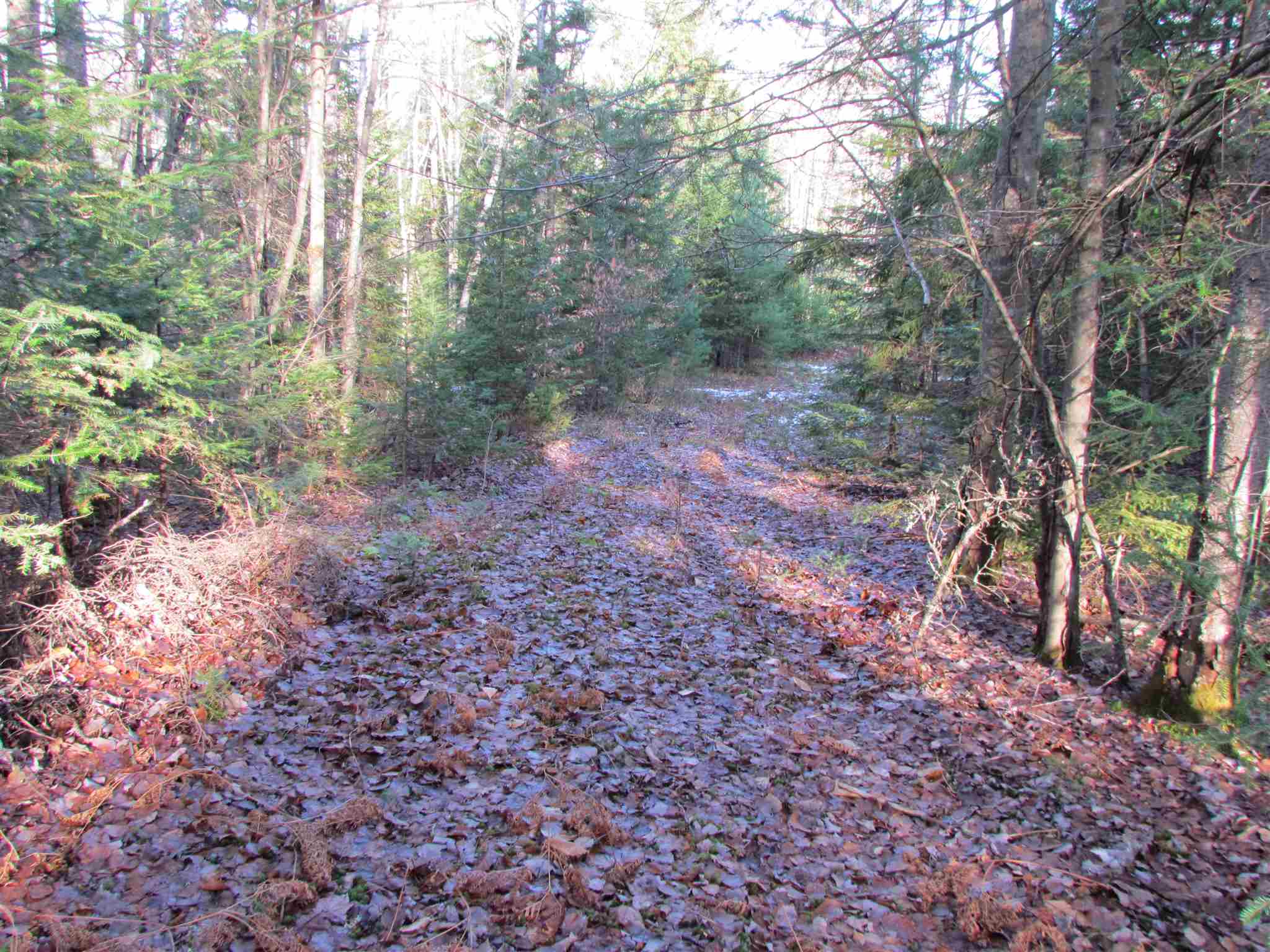 0 Moretown Mountain Road Moretown, VT 05660 - Photo 16 of 16