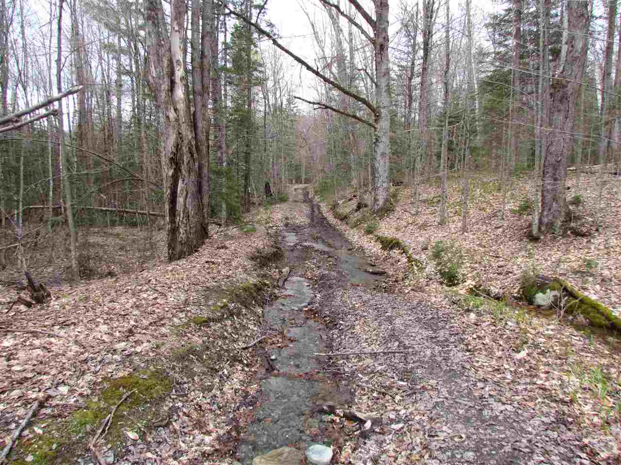 0 Moretown Mountain Road Moretown, VT 05660 - Photo 3 of 16
