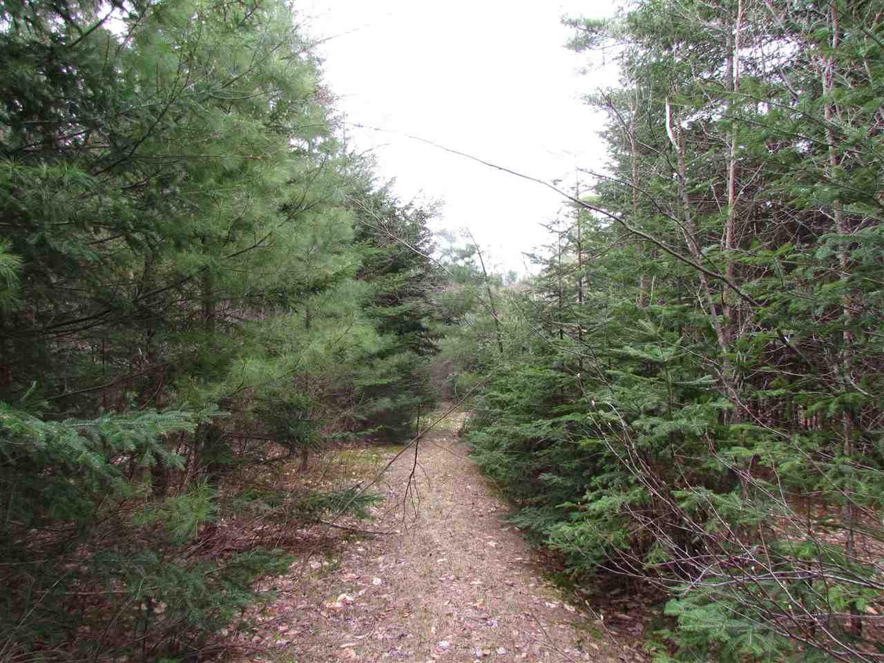 0 Moretown Mountain Road Moretown, VT 05660 - Photo 4 of 16