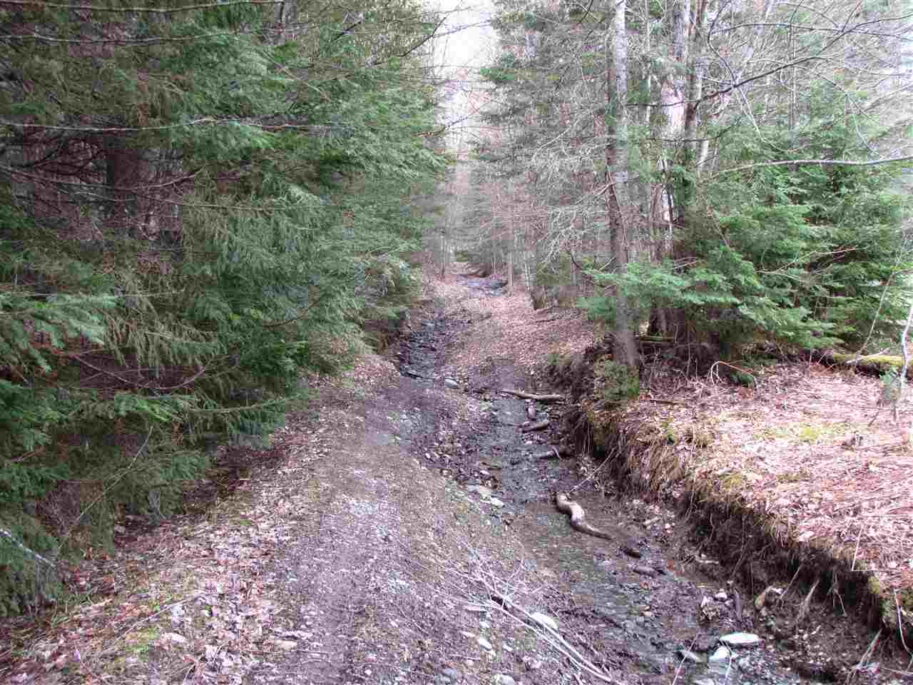 0 Moretown Mountain Road Moretown, VT 05660 - Photo 6 of 16