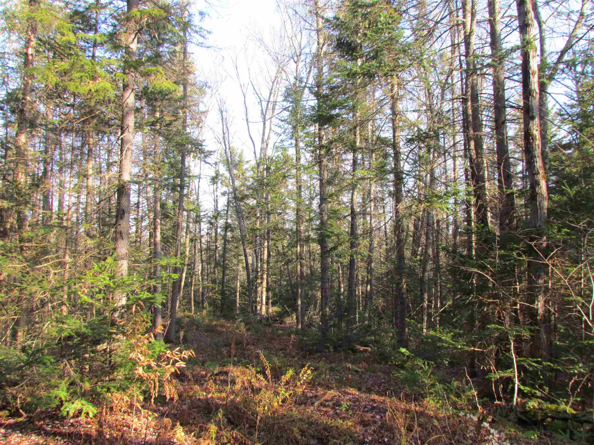 0 Moretown Mountain Road Moretown, VT 05660 - Photo 10 of 16