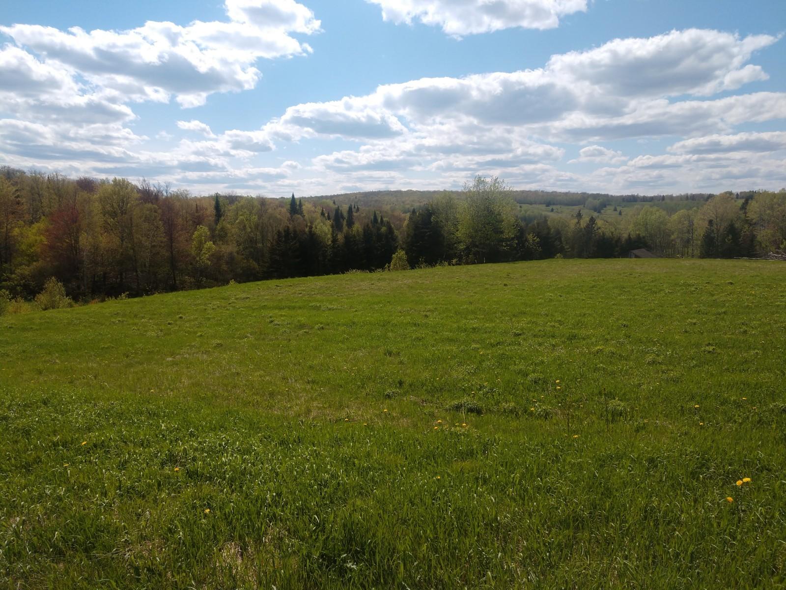 163 Dufour Road Madawaska, ME 04756 - Photo 10 of 19 IMG_20190601_150724831