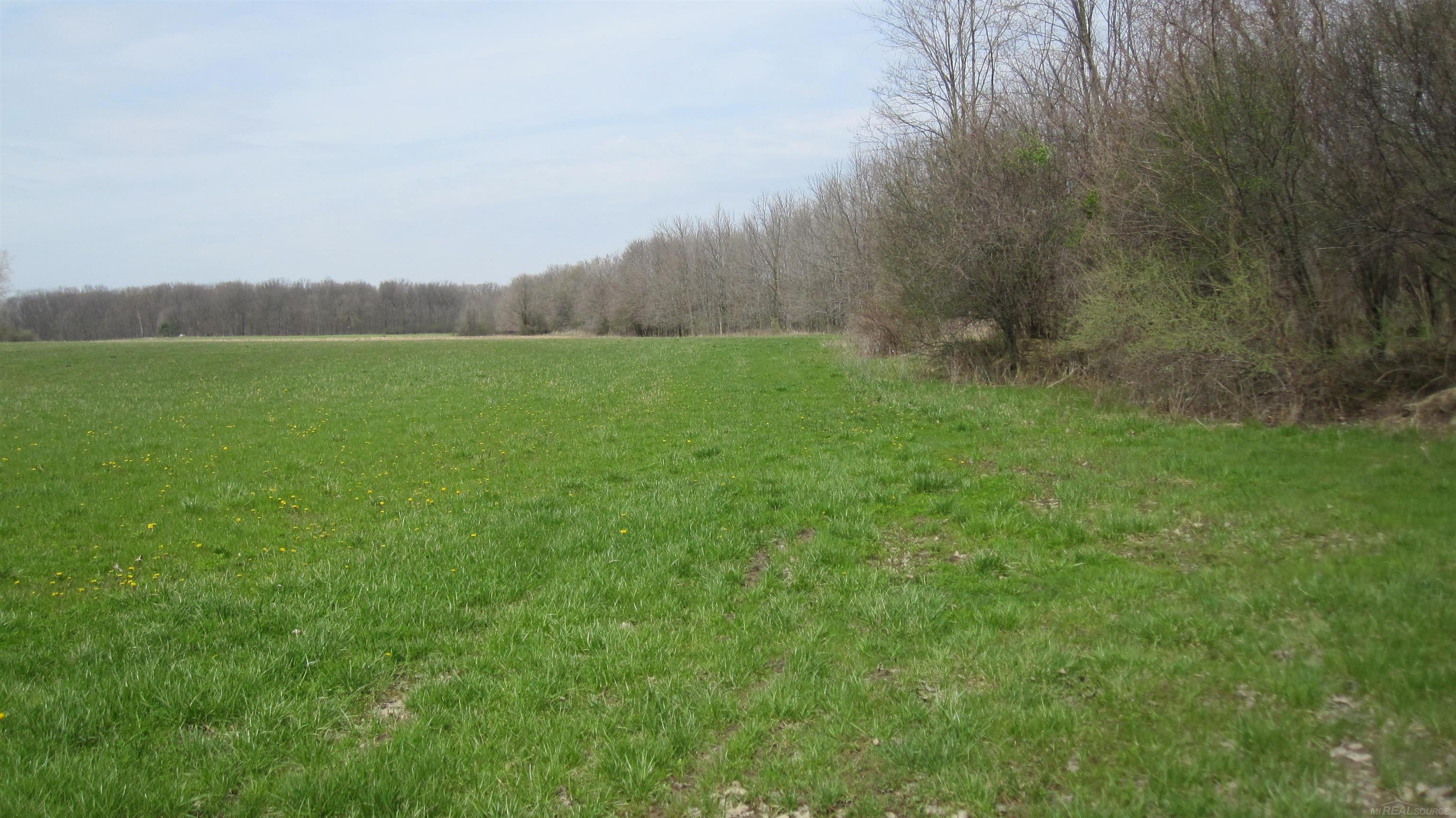 1-vl Jeddo Road Avoca, MI 48006 - Photo 6 of 18