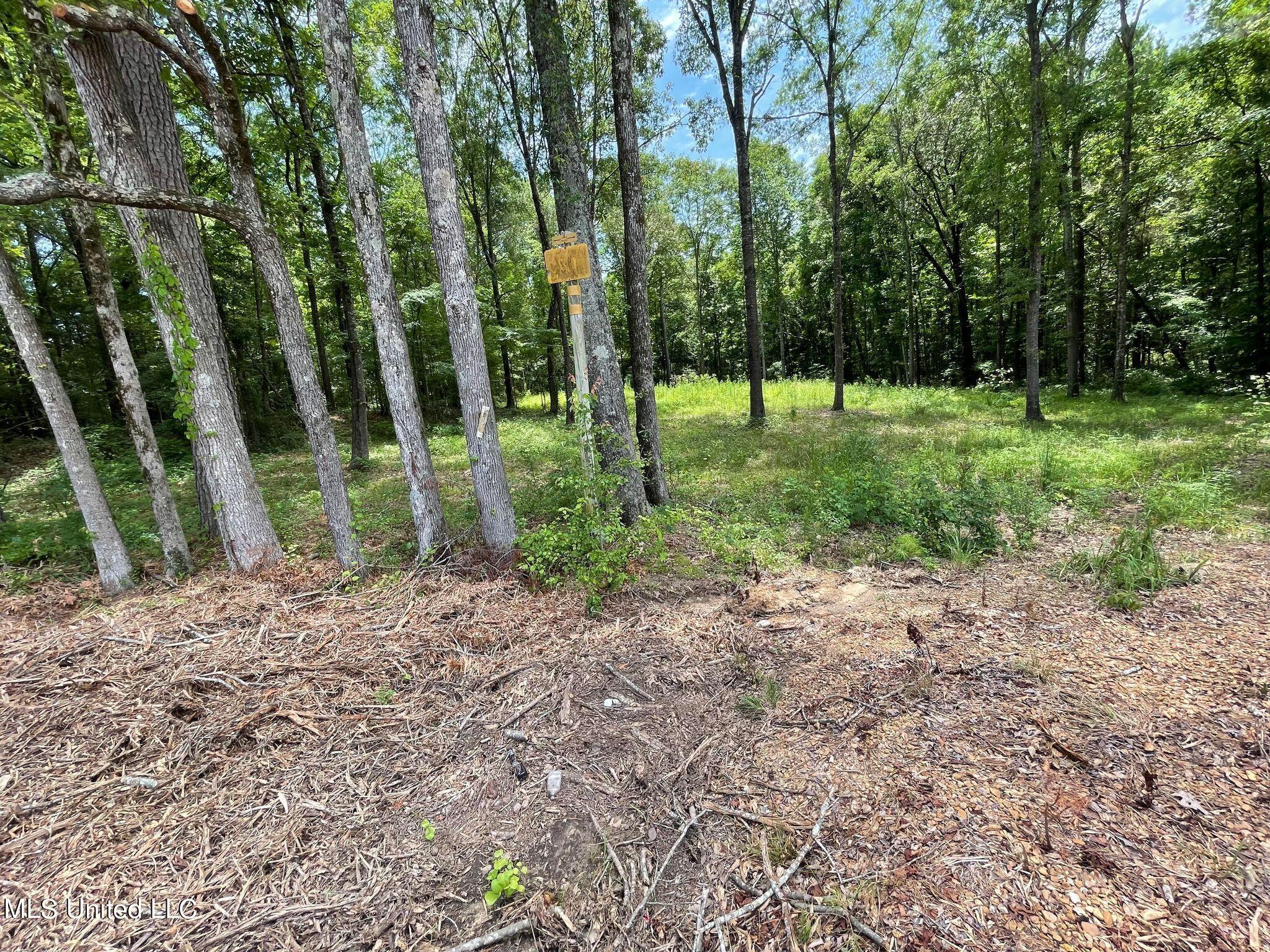 4049 Ms-16 Canton, MS 39046 - Photo 3 of 5 444763769_1132023194797921_5073830603814