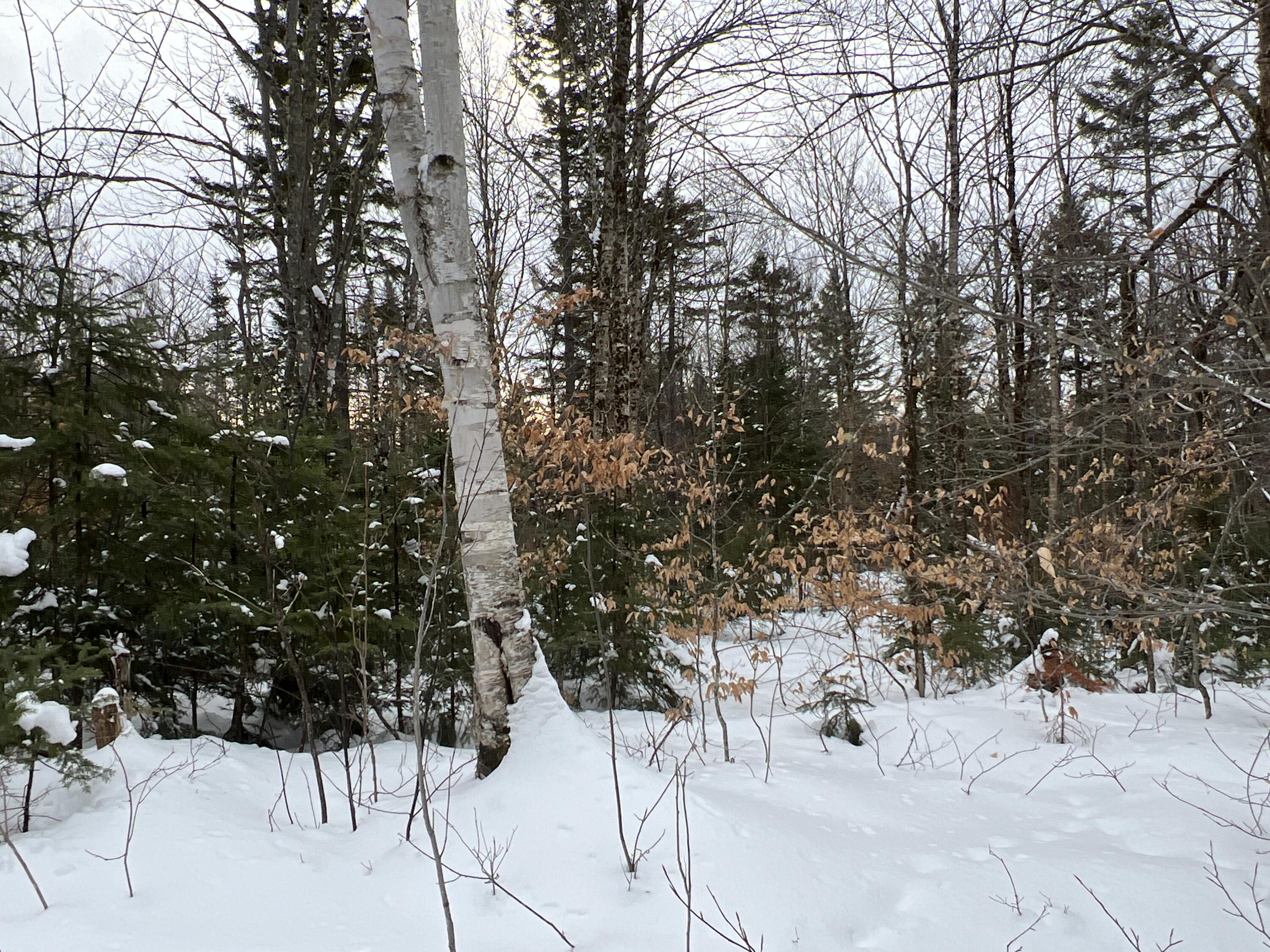 Lot 2-18 Shin Pond Rd Mount Mount Chase, ME 04765 - Photo 38 of 59