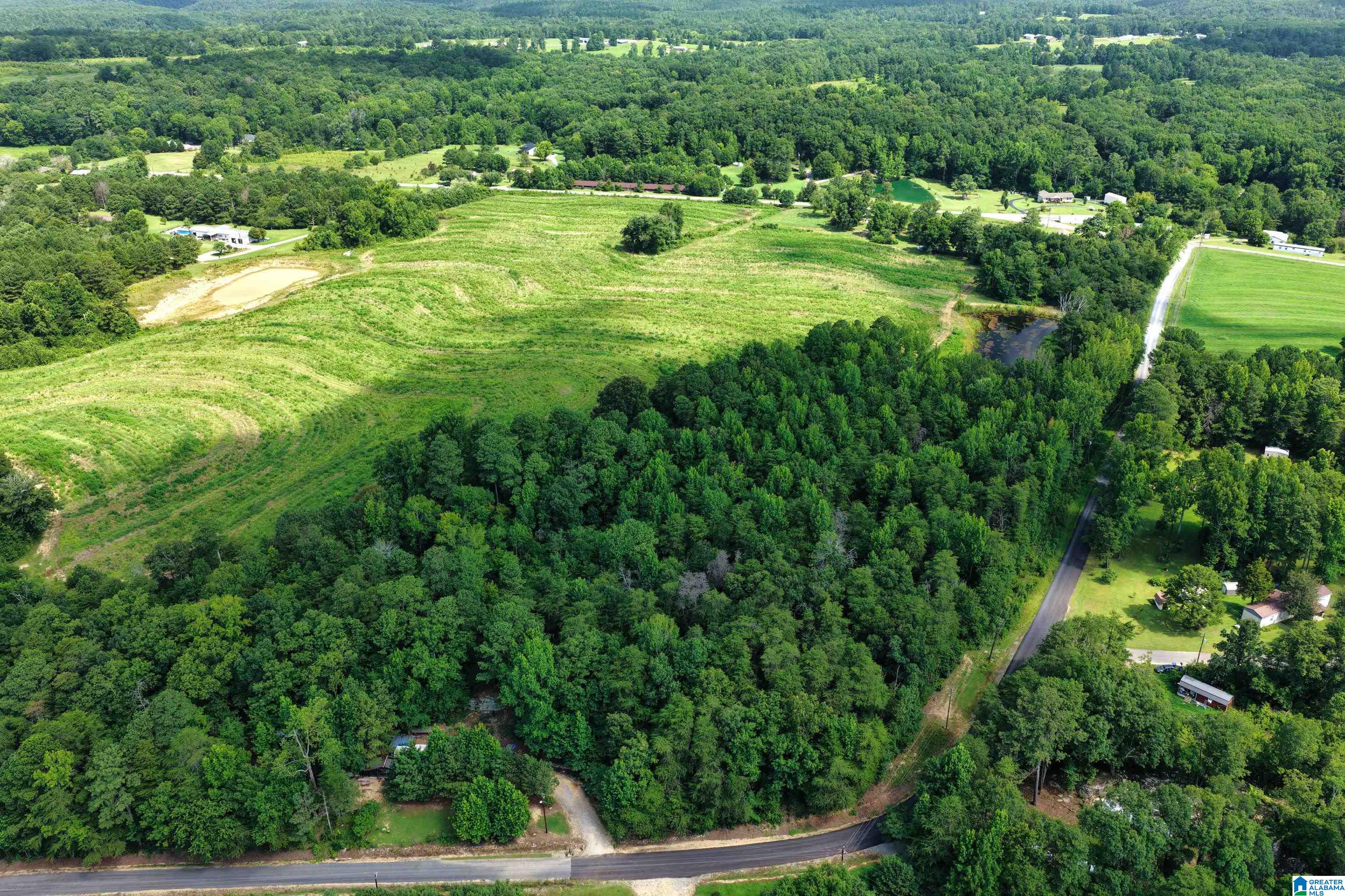 0 County Highway 27, Unit 47 Springville, AL 35146 - Photo 50 of 53
