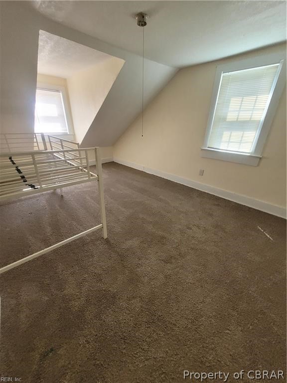 863 Urbanna Road Saluda, VA 23149 - Photo 19 of 24 Additional living space featuring vaulted ceiling and dark carpet