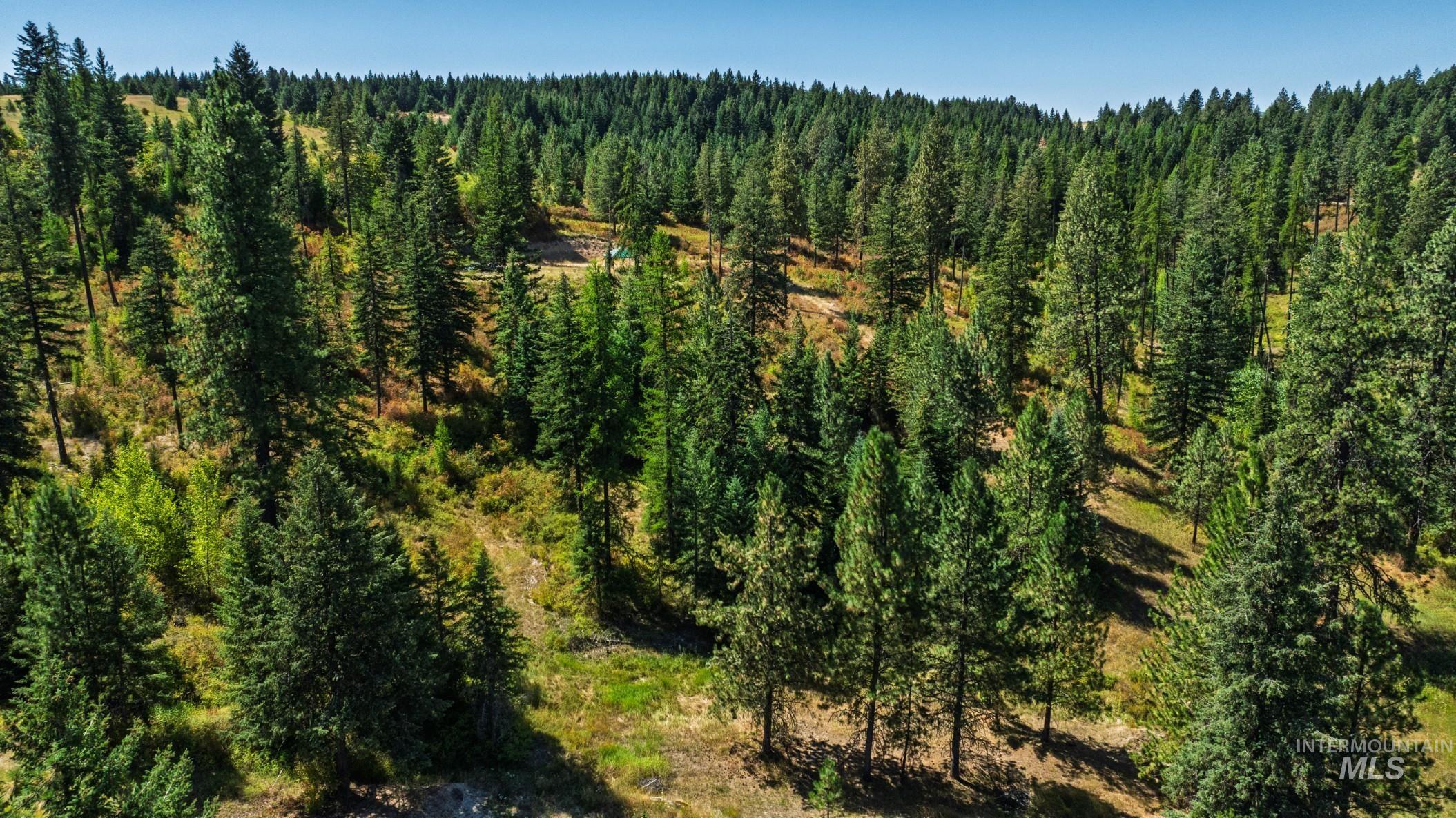 Nka O'reilly Road Princeton, ID 83857 - Photo 18 of 34