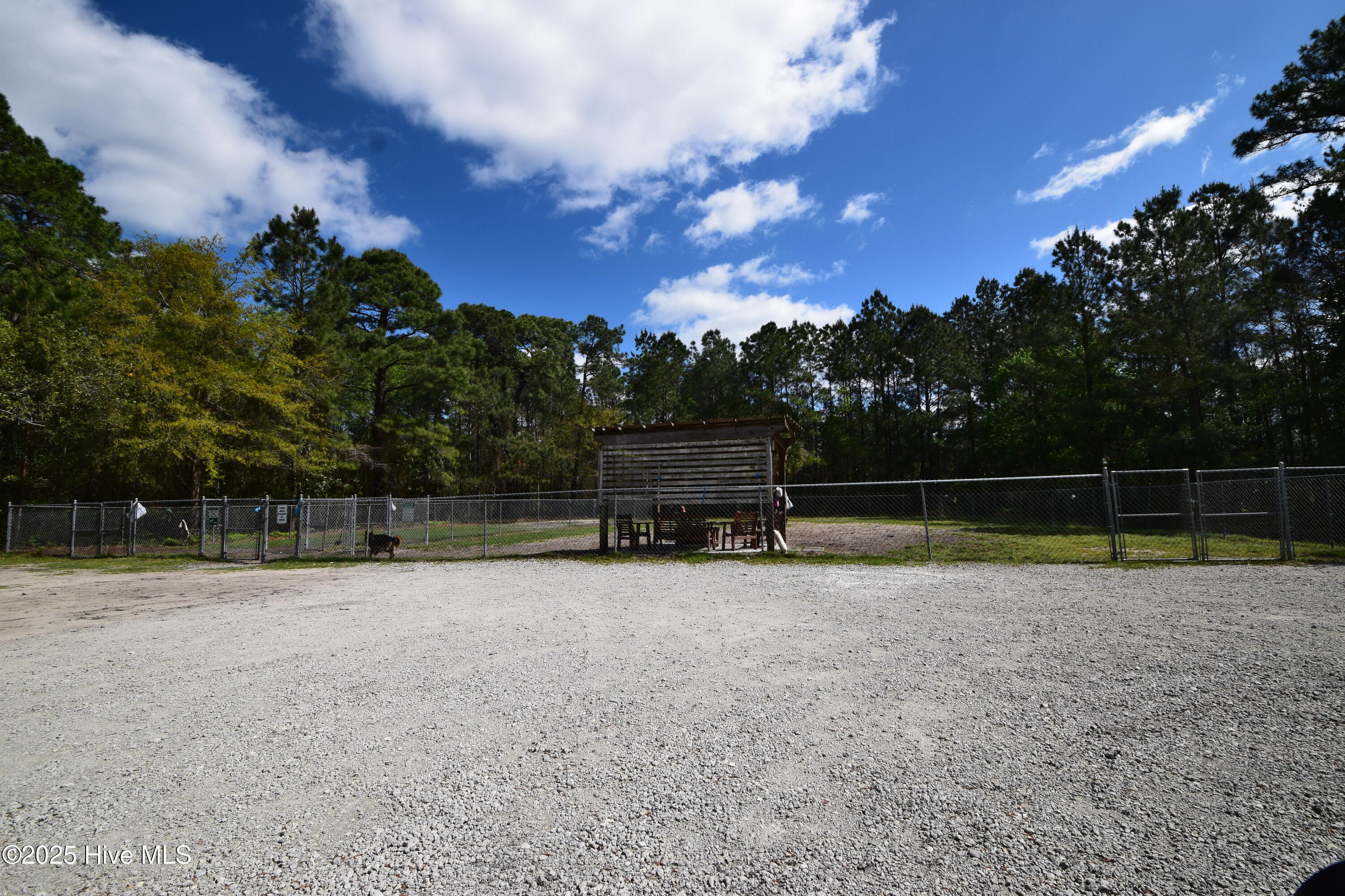 5017 Bucco Reef Road New Bern, NC 28560 - Photo 21 of 23 Dog Park