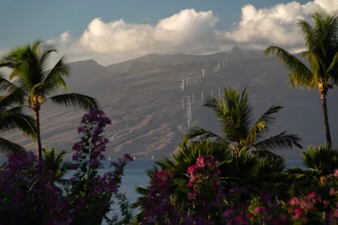 a view of a patio with a table chairs and garden
