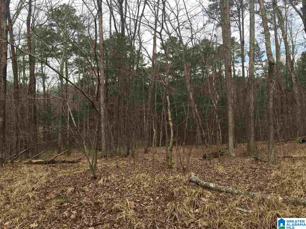 7465 Rodgers Road Southwest Leeds, AL 35094 - Photo 17 of 25
