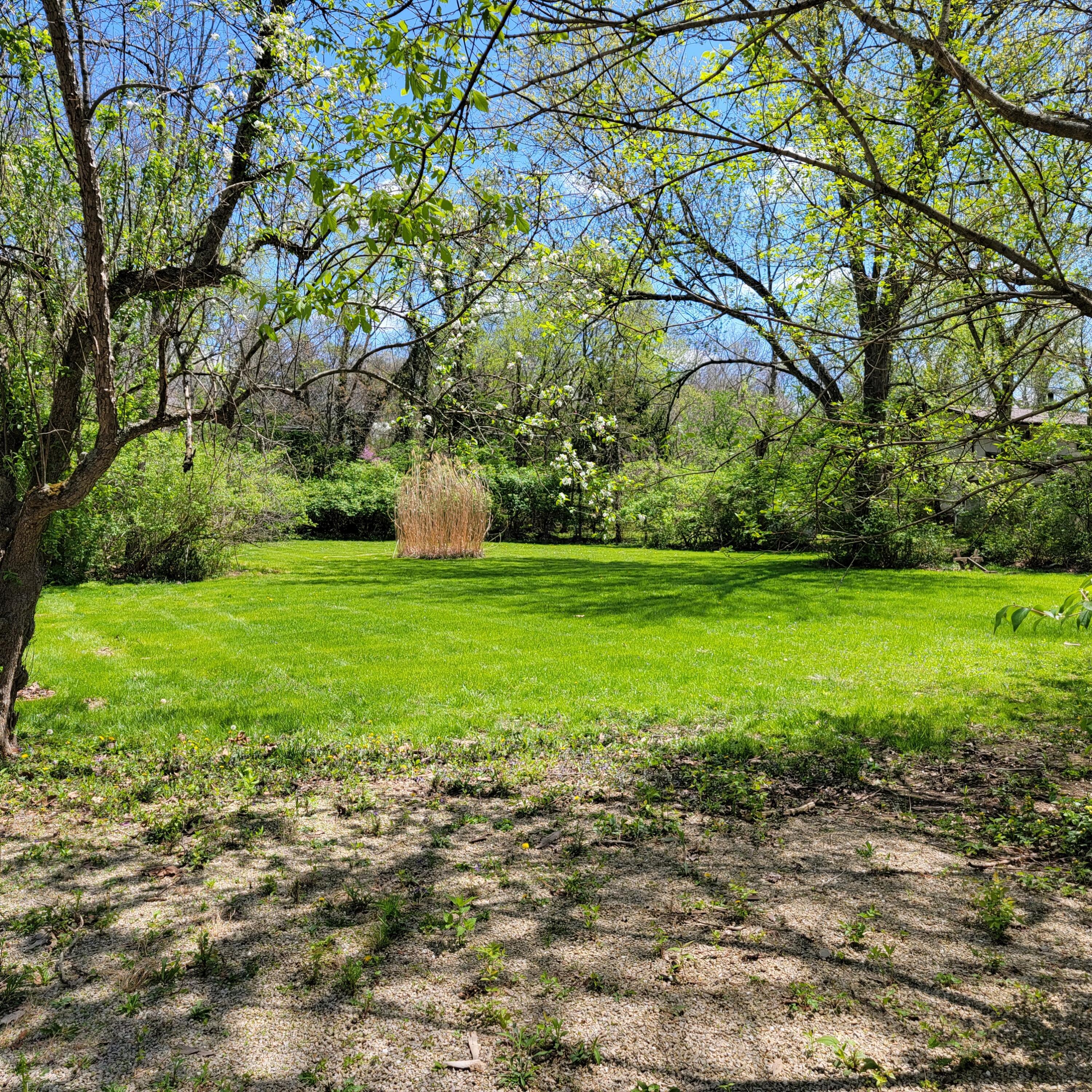 10558 Riverside Drive Powell, OH 43065 - Photo 16 of 17 20220502_131223