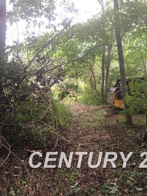 9085 Birch Run Road Millington, MI 48746 - Photo 22 of 31