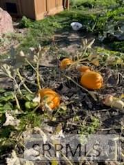 3843 East 446 North Rigby, ID 83442 - Photo 77 of 96