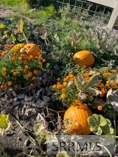 3843 East 446 North Rigby, ID 83442 - Photo 78 of 96