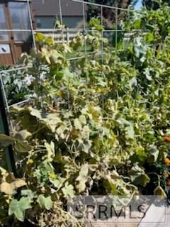 3843 East 446 North Rigby, ID 83442 - Photo 79 of 96