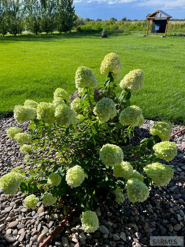 3843 East 446 North Rigby, ID 83442 - Photo 86 of 96