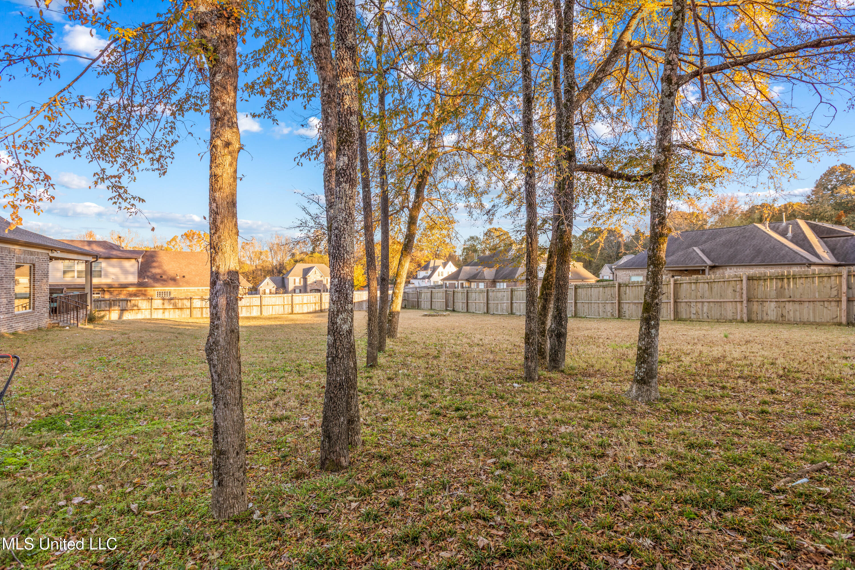 14415 Red Chip Trail Olive Branch, MS 38654 - Photo 5 of 37 35