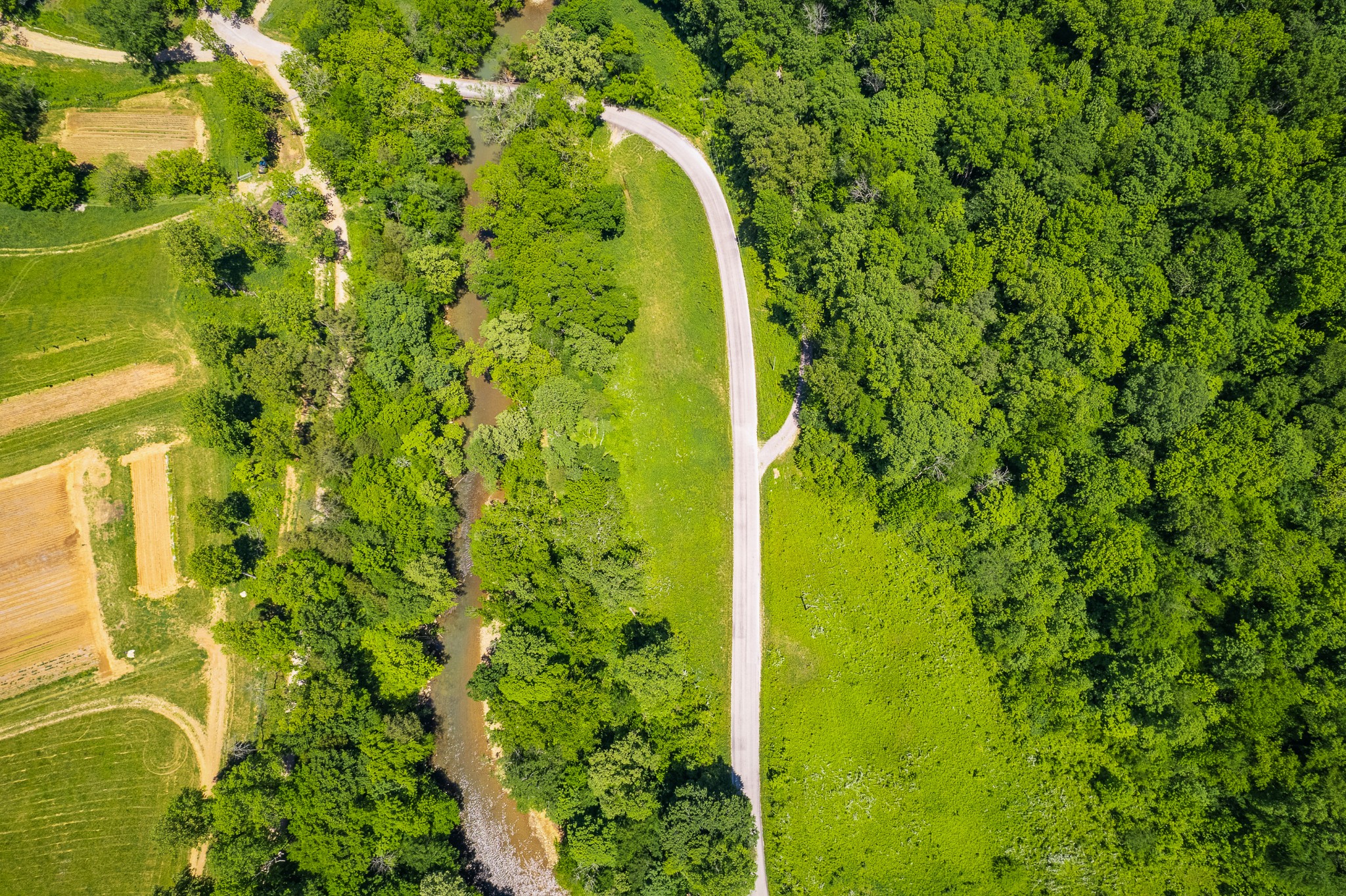 429 Shiloh Road Crawford, TN 38554 - Photo 6 of 9 Gallery Image 6