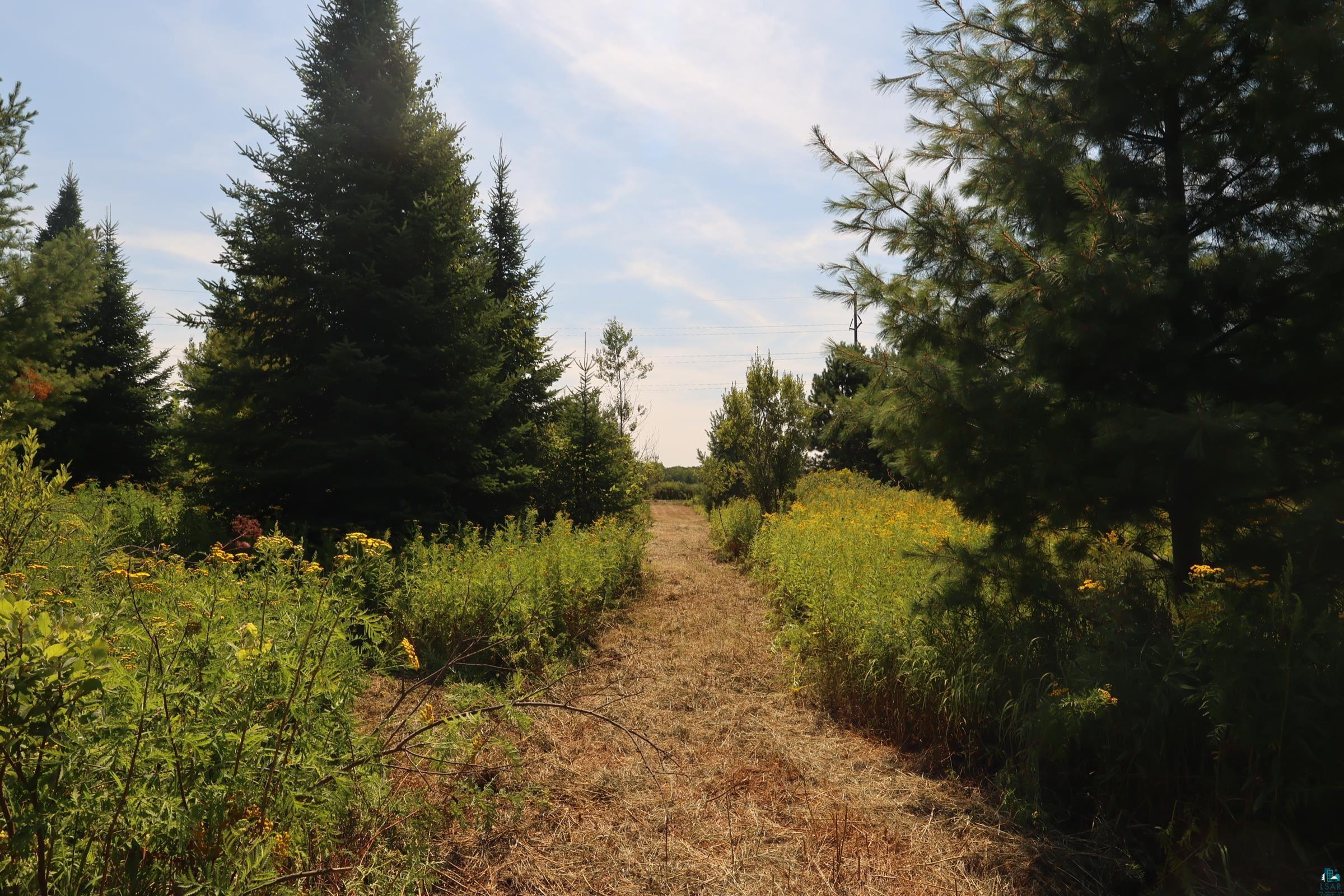 30210 Wannebo Road Washburn, WI 54891 - Photo 37 of 37 Gallery Image 37
