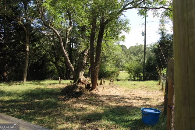 a view of a tree in a yard
