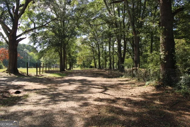 a view of a yard with a tree