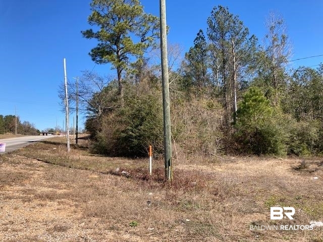 22000-block Highway 31 Flomaton, AL 36441 - Photo 6 of 20