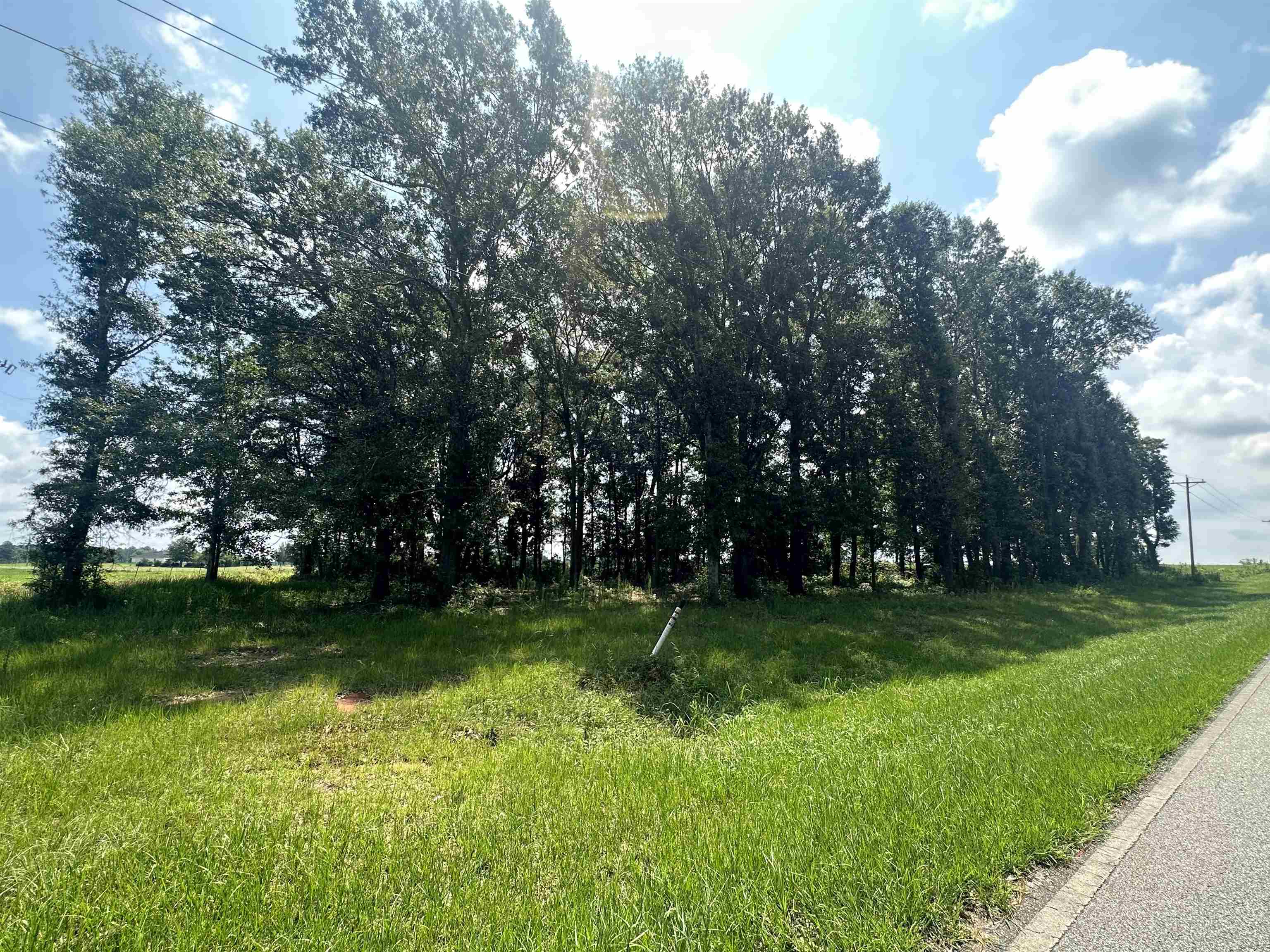 62 North County Road Robertsdale, AL 36567 - Photo 7 of 7