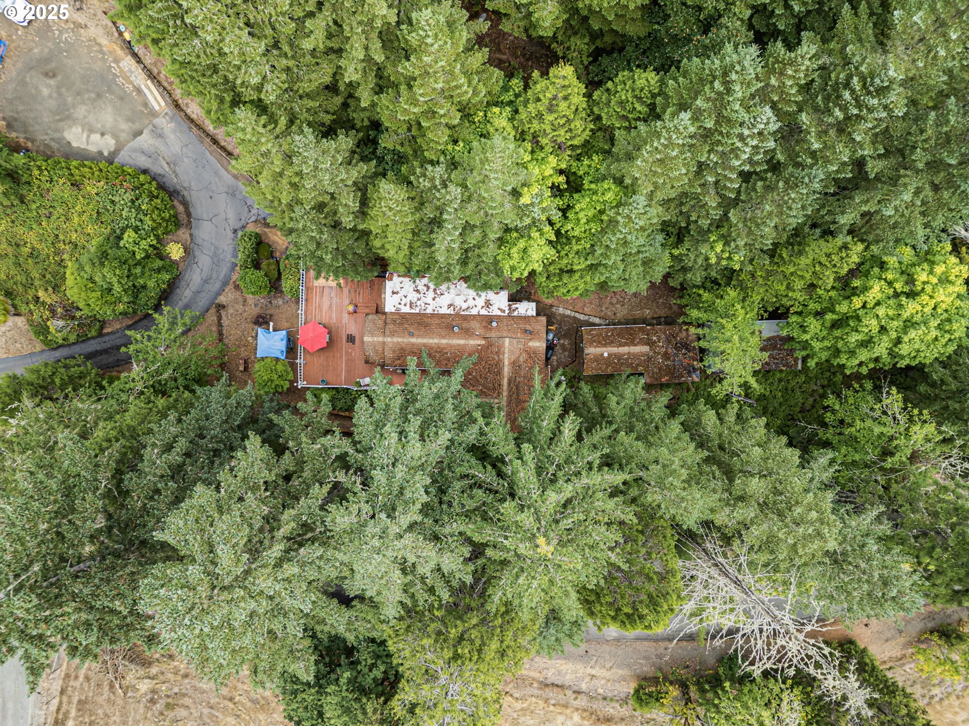 684 Bear Creek Road Cottage Grove, OR 97424 - Photo 45 of 47