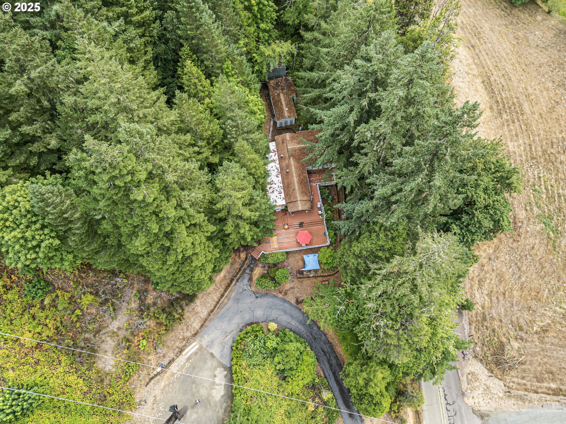 684 Bear Creek Road Cottage Grove, OR 97424 - Photo 47 of 47