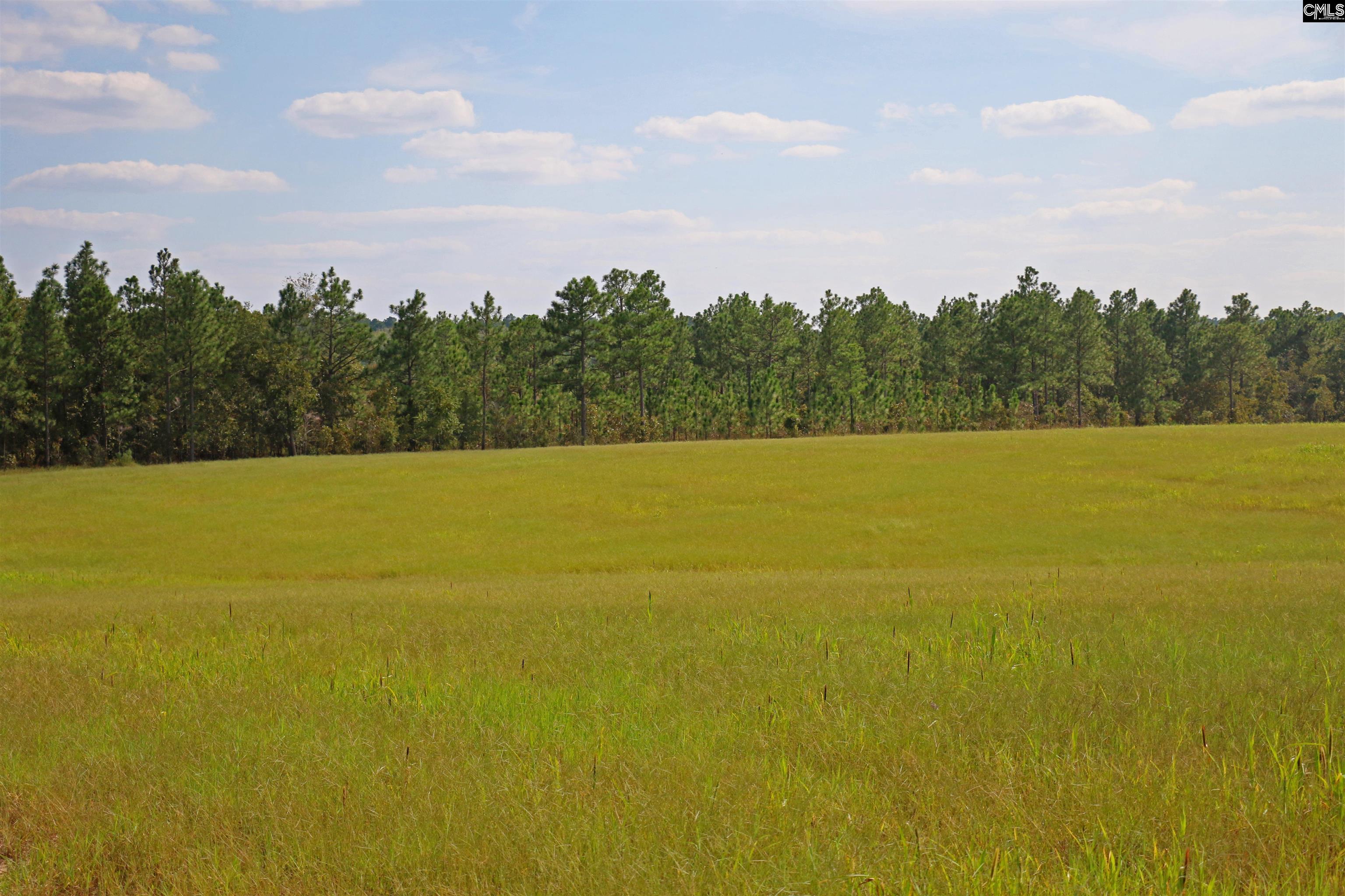 Tbd Browns Pond Road Wagener, SC 29164 - Photo 6 of 48