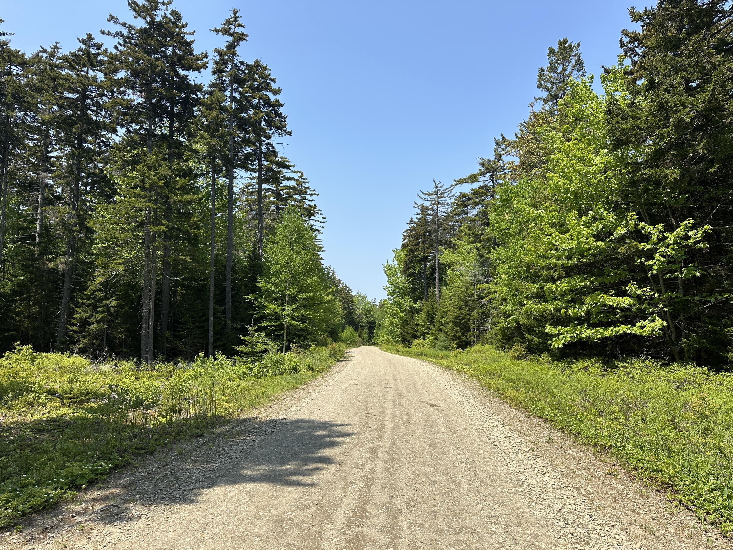 Lot 5 Waymouth Road Tenants Harbor, ME 04860 - Photo 2 of 56 Well Maintained Subdivision Road