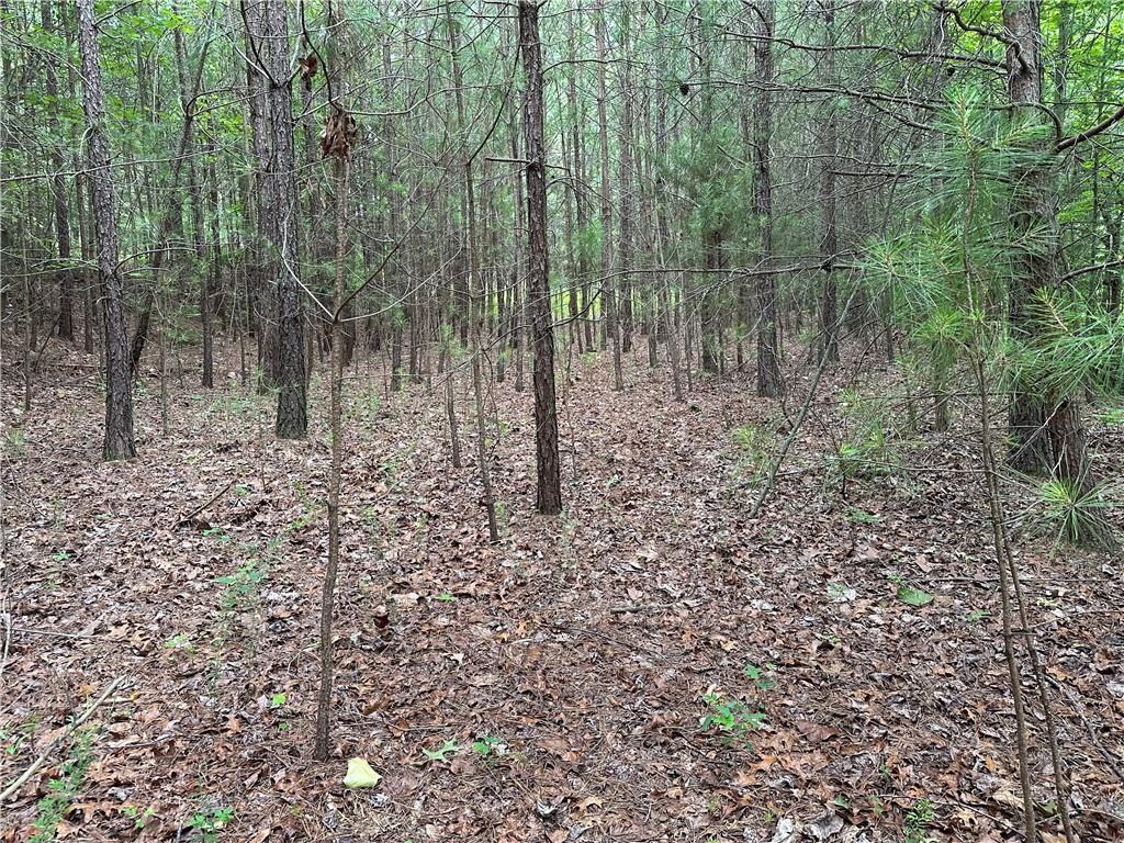 585 Galaxy Way Ranger, GA 30734 - Photo 6 of 19