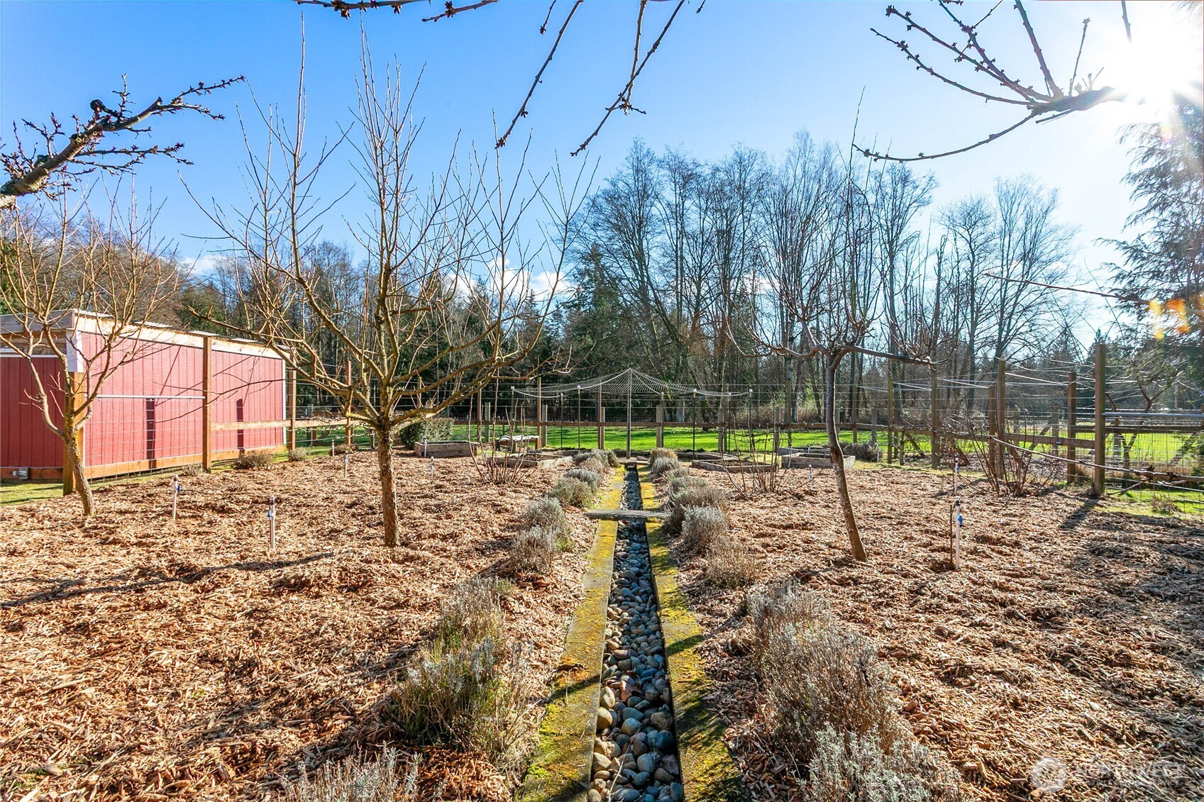 3269 Haynie Road Custer, WA 98240 - Photo 38 of 39 a view of a park with large trees