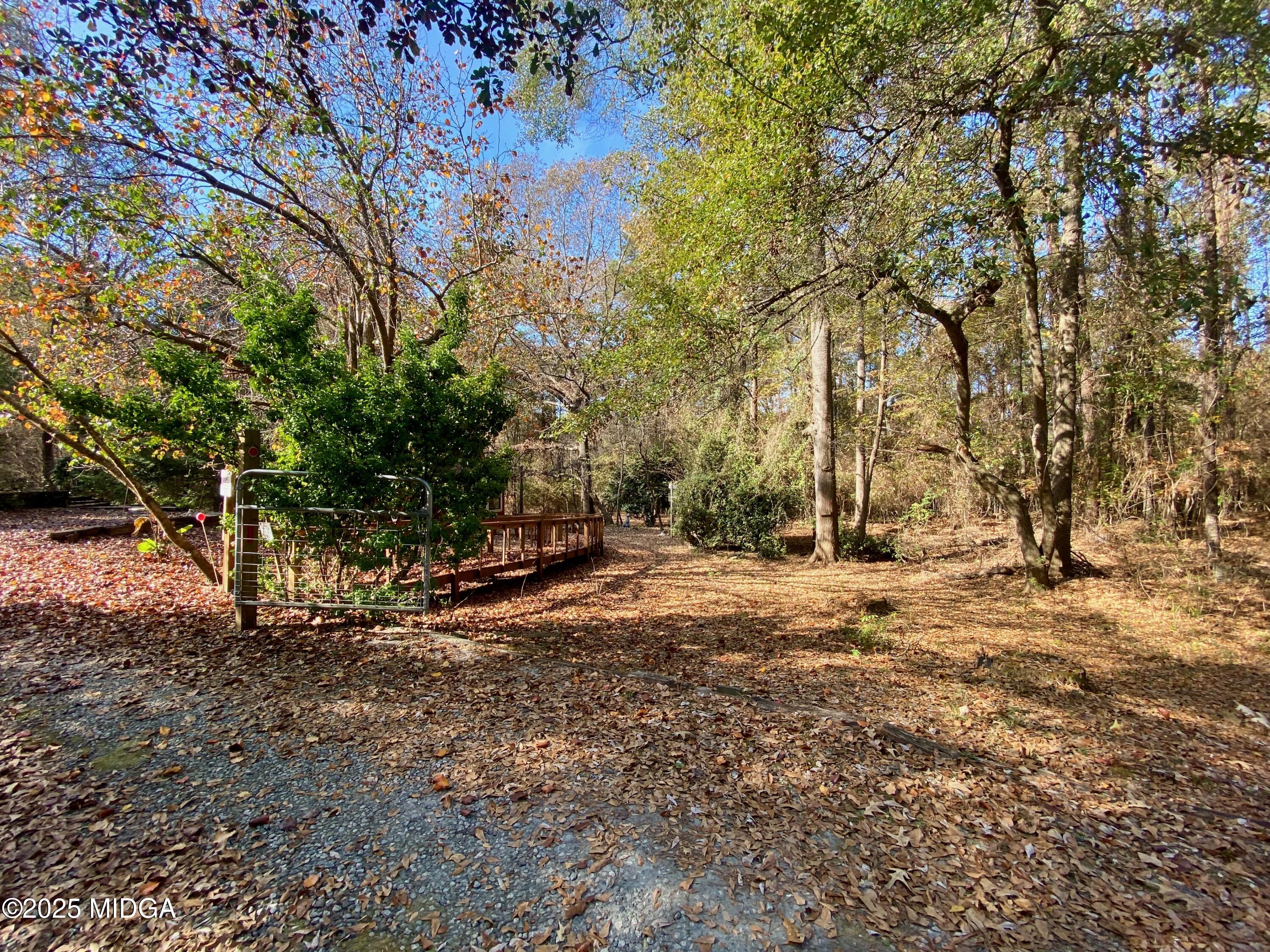 231 West Seminole Drive Byron, GA 31008 - Photo 29 of 38 a view of a yard with a tree