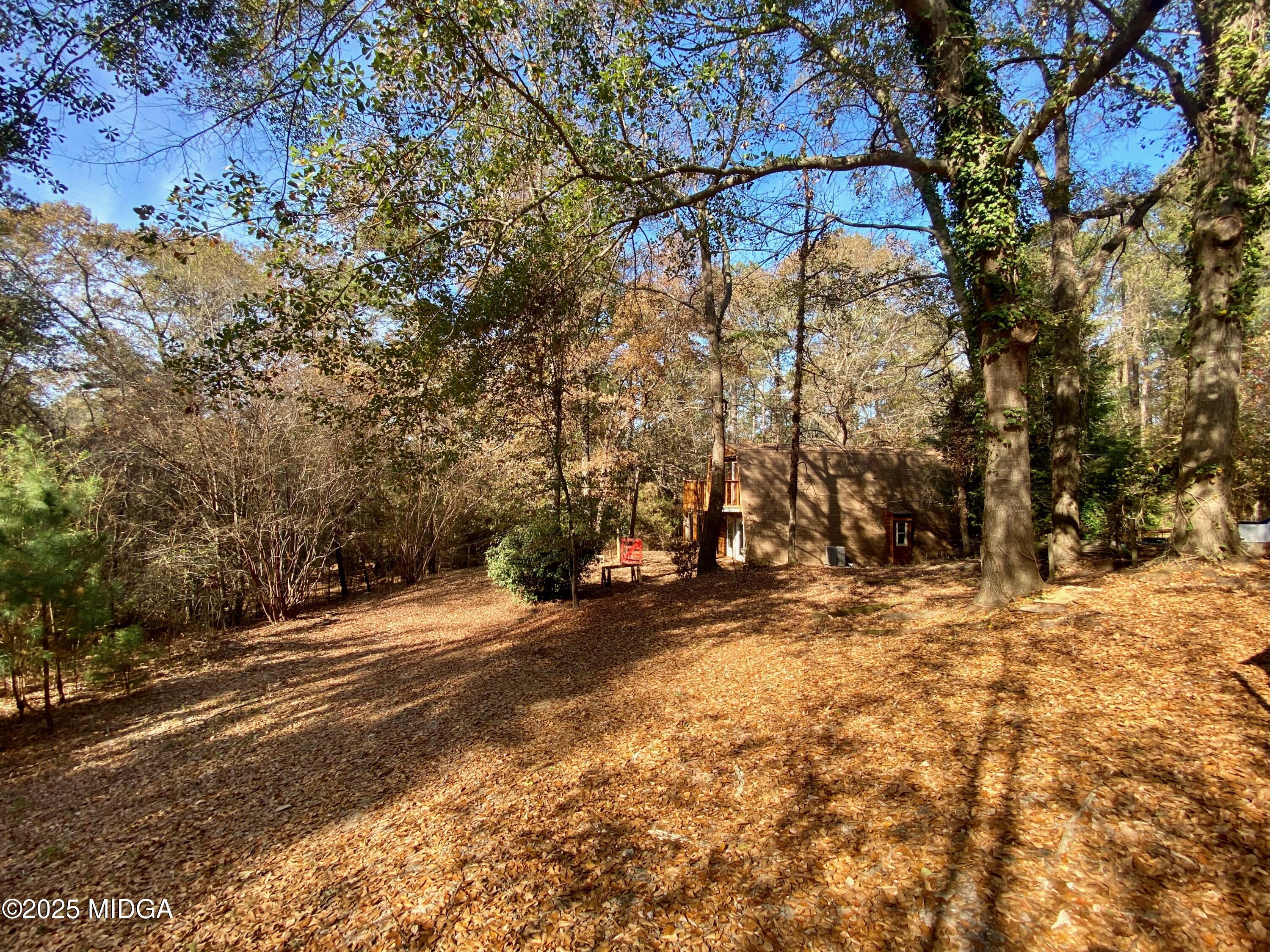 231 West Seminole Drive Byron, GA 31008 - Photo 32 of 38 a view of a yard with plants and trees