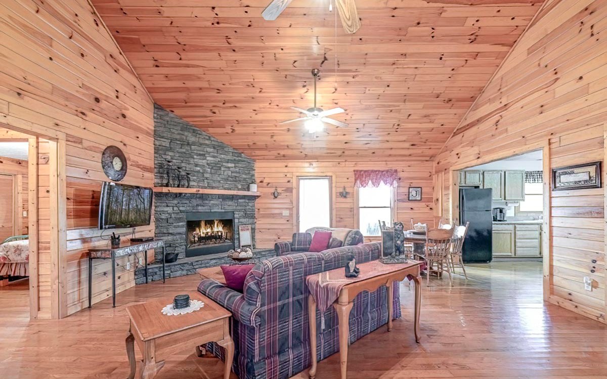 197 Macedonia Church Road Blue Ridge, GA 30513 - Photo 5 of 29 a living room with fireplace furniture and a fireplace
