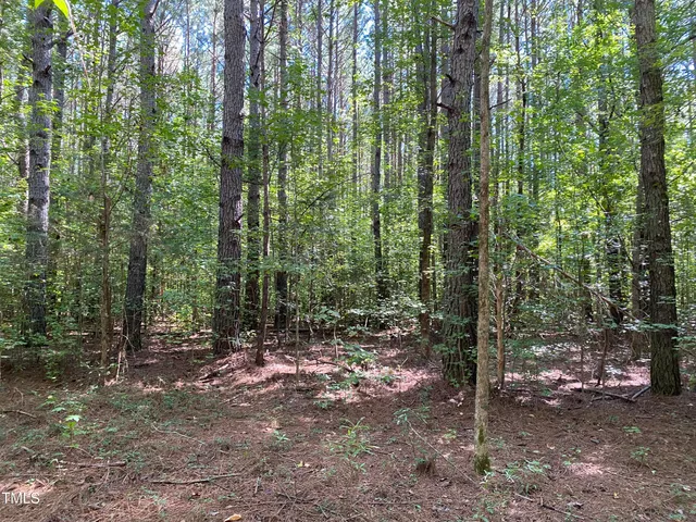 a view of outdoor space with lots of trees