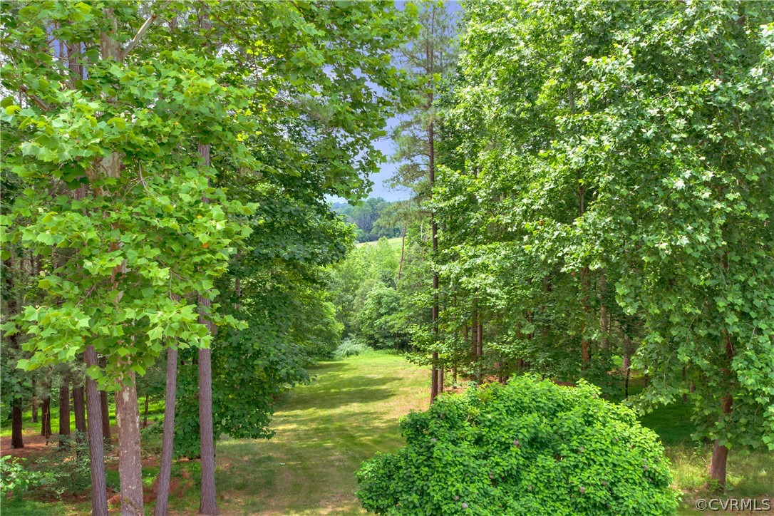 464 Guildford Farm Road Ruckersville, VA 22968 - Photo 33 of 36 Back of Property. View from Patio