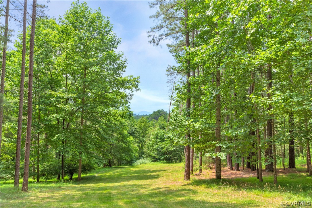 464 Guildford Farm Road Ruckersville, VA 22968 - Photo 35 of 36 Back of Property