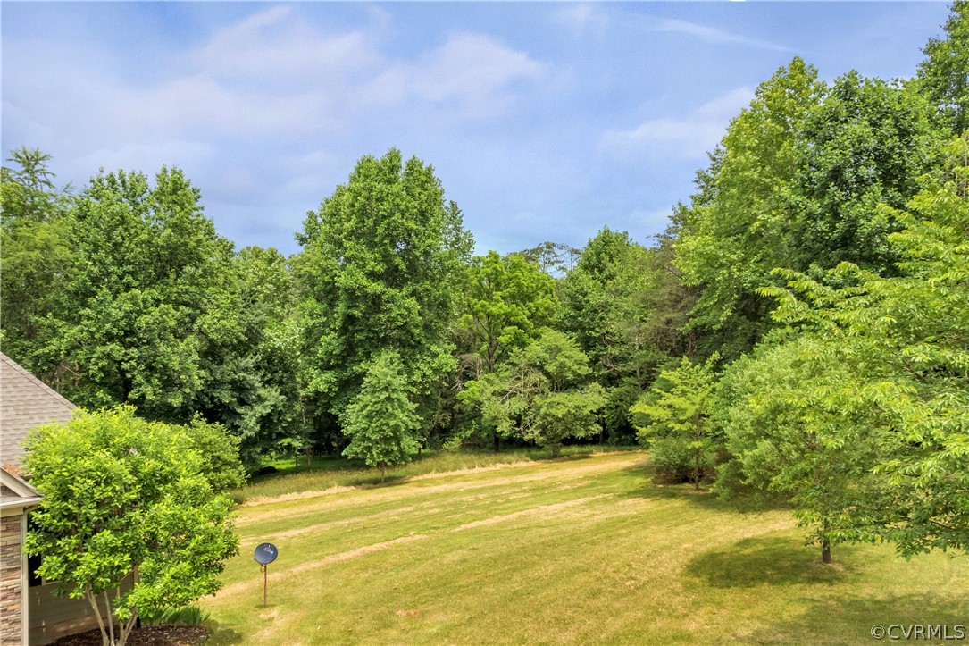 464 Guildford Farm Road Ruckersville, VA 22968 - Photo 8 of 36 Side Yard