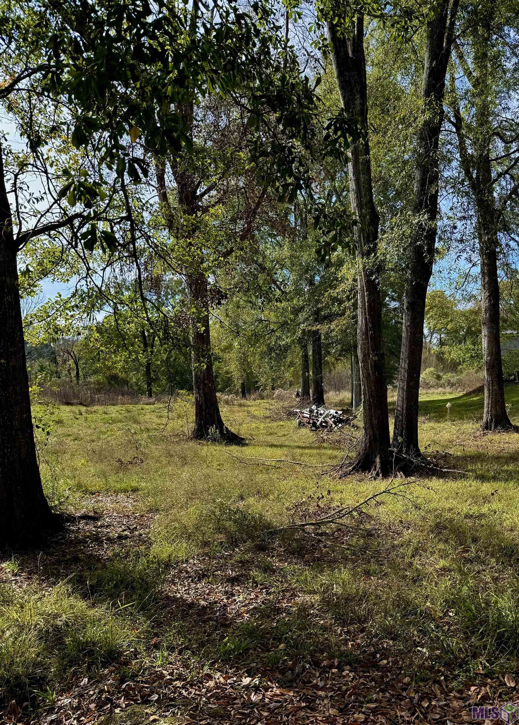 18661 Broussard Road Prairieville, LA 70769 - Photo 2 of 3