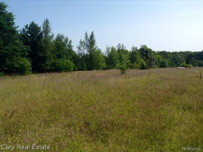 Vl Welch Road Walled Lake, MI 48390 - Photo 10 of 12 Gallery Image 10