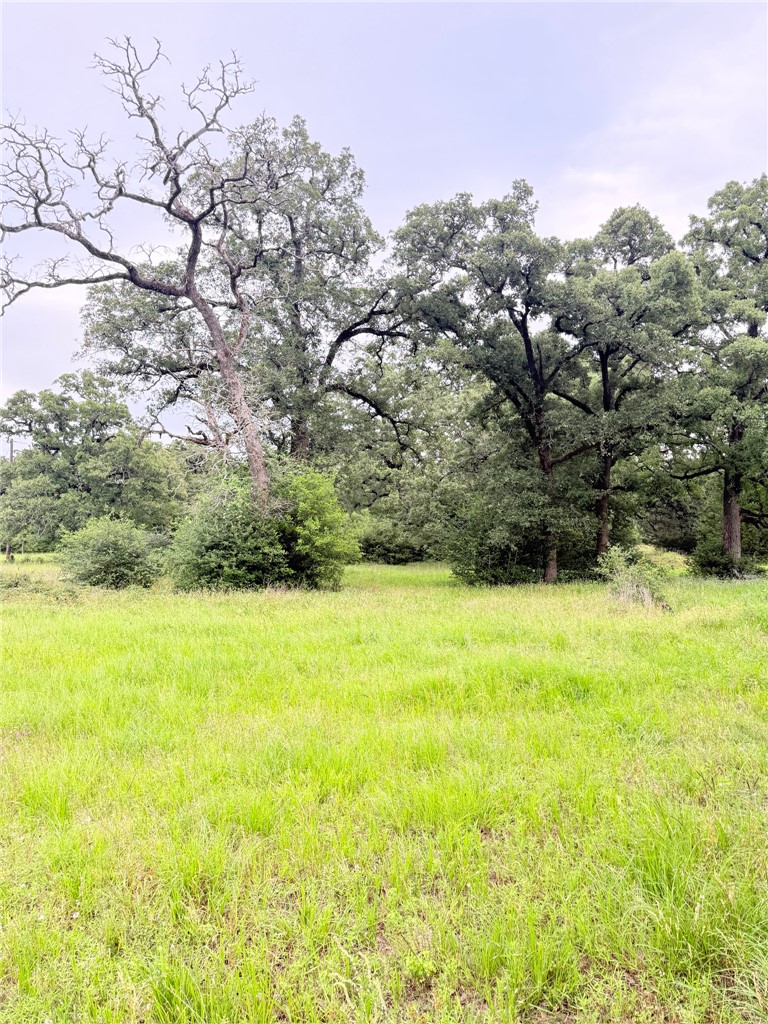 Tbd Wannabe Road Bryan, TX 77808 - Photo 29 of 42